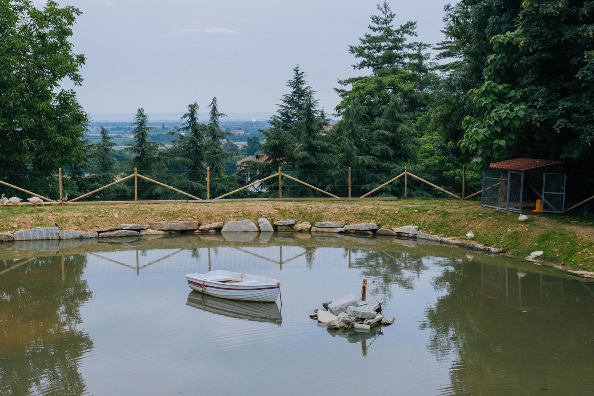 Agriturismo Agli Ulivi سالوزو المظهر الخارجي الصورة